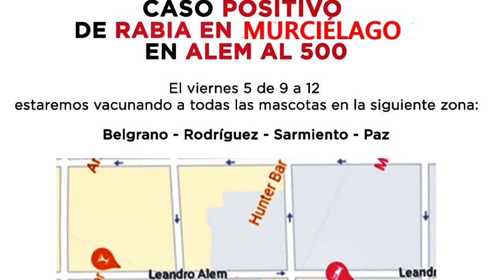 Por un nuevo caso de murciélago con Rabia, activan protocolo de vacunación de mascotas