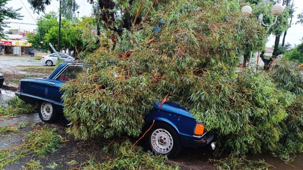 Un temporal de viento, lluvia y granizo ocasionó graves destrozos en Miramar