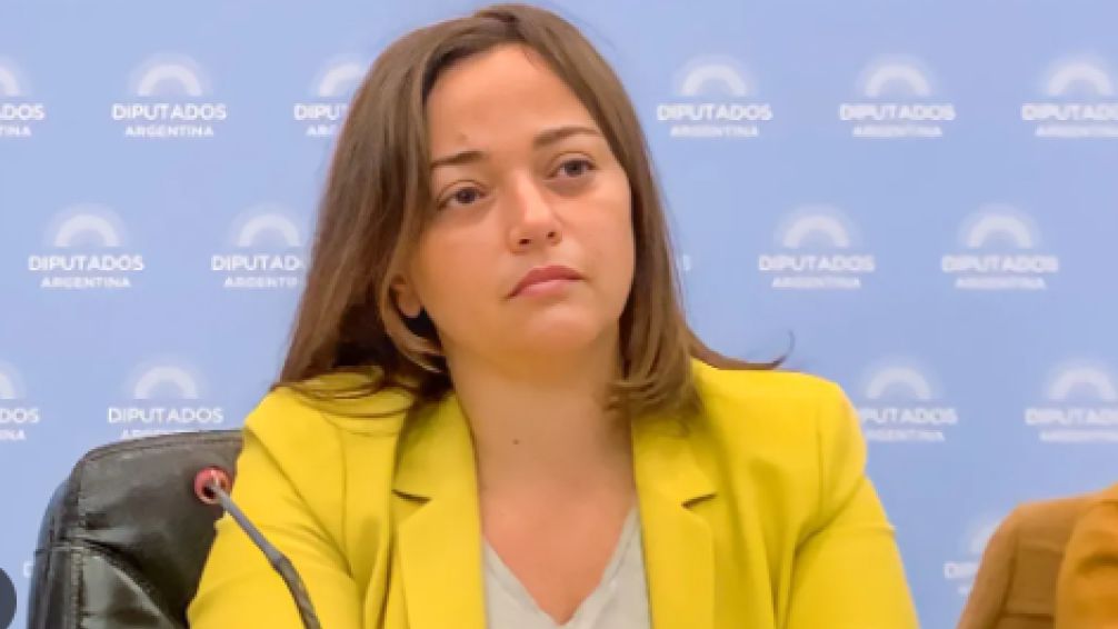 "El Gobierno está llamando al caos" 