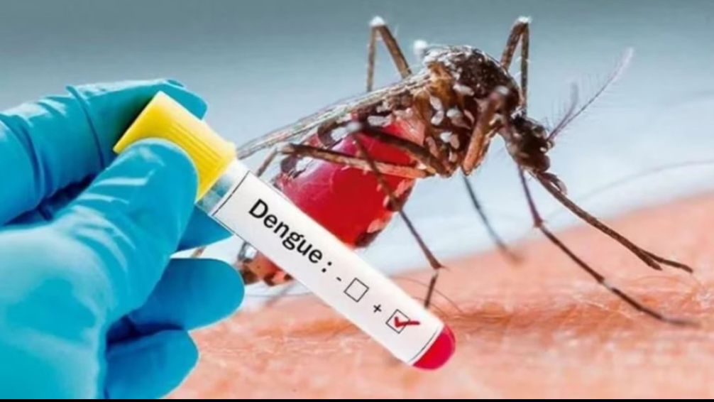 En la última semana, Santa Fe sumó 124 nuevos casos de dengue