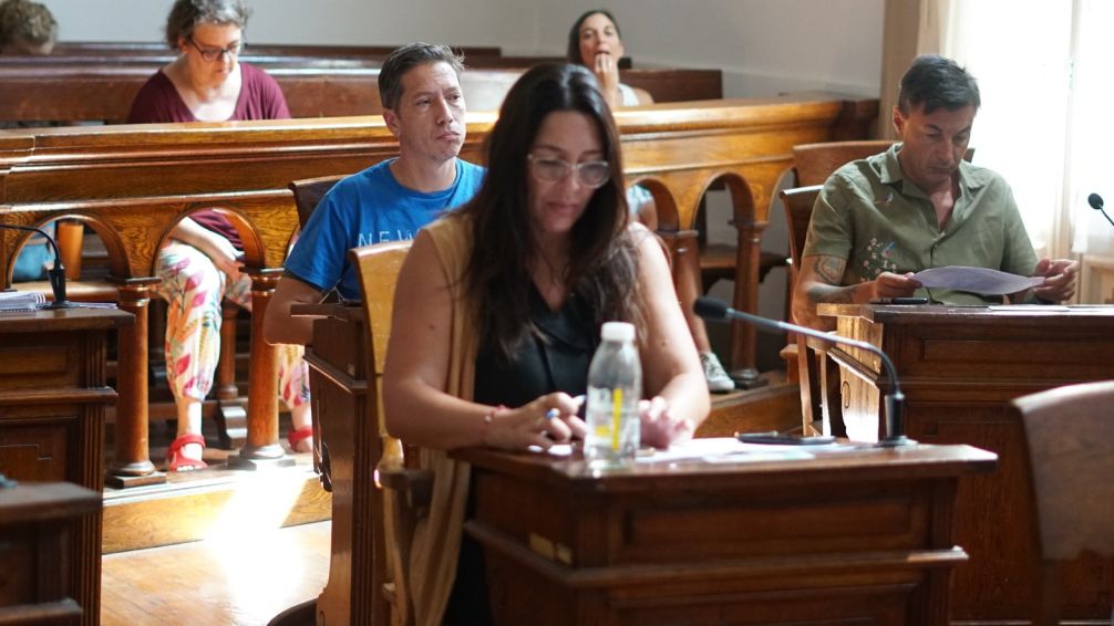 Chacón se abstuvo de acompañar el Proyecto de Resolución por la Ley de Zona Fría