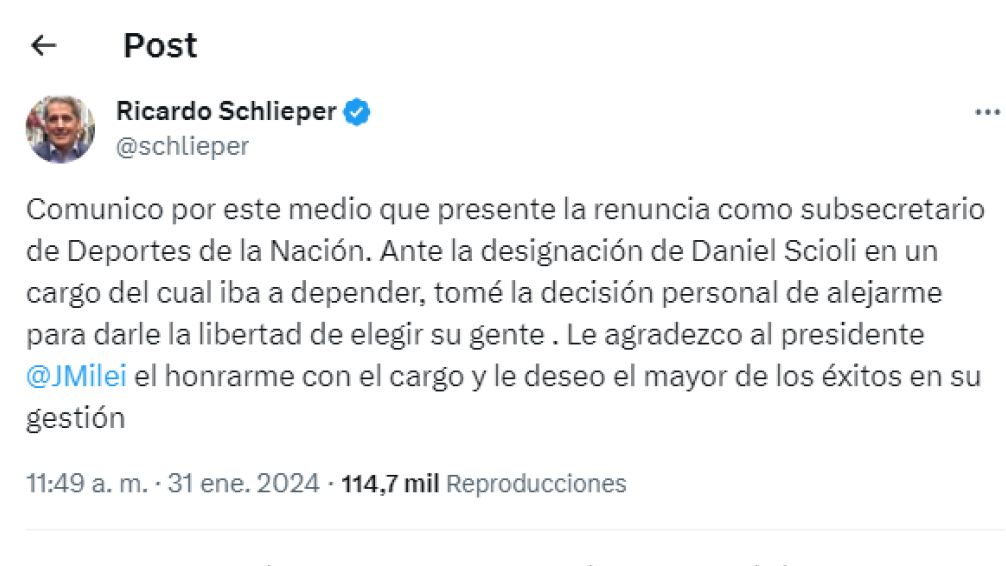 Schlieper renunció a su cargo de subsecretario de Deportes