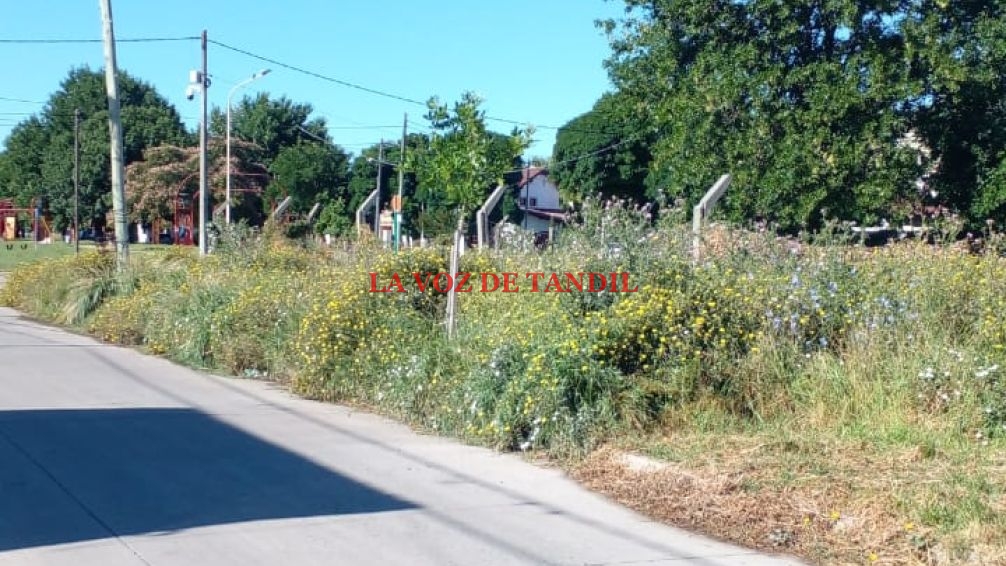 Por nota al intendente vecina reclama el corte de paso en vereda de Escuela Secundaria 1