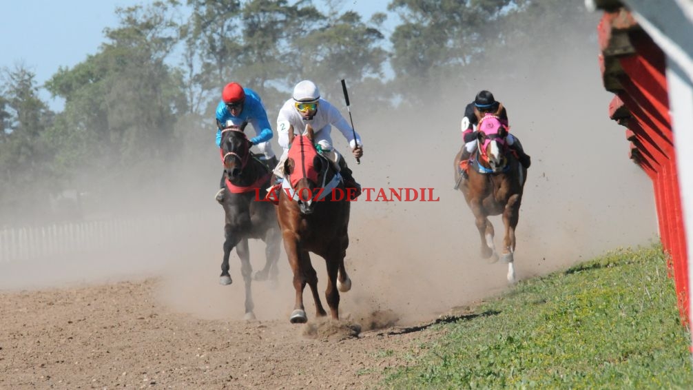 Segunda suspensión de carreras en el hipódromo: el martes 13 no habrá reunión 