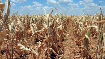 Gobierno provincial extenderá declaración de emergencia en Partidos afectados por sequía