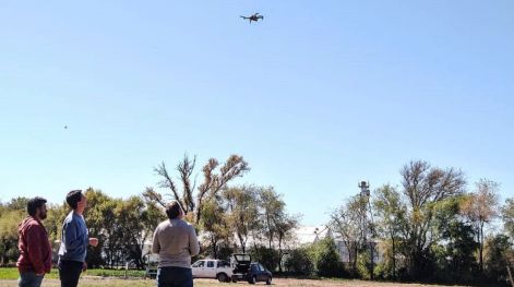 Utilizan drones para detectar enfermedades en cultivos bonaerenses