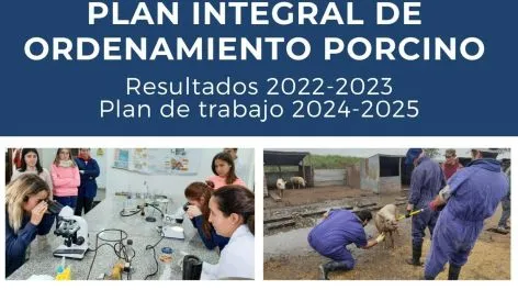 Presentarán los resultados del Plan Integral de ordenamiento porcino y el Plan de trabajo 2024-2025